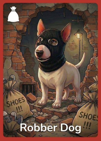 Robber
